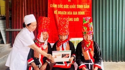 Hội KHHGĐ tỉnh: Nâng cao chất lượng dịch vụ, truyền thông