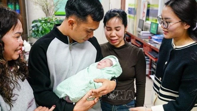 Quyền sinh sản trong một thế giới nhiều biến động - toàn cảnh và góc nhìn Việt Nam