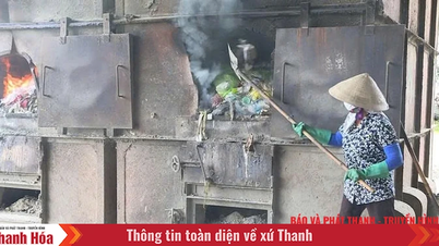 Ô nhiễm môi trường do vận chuyển, xử lý rác thải
