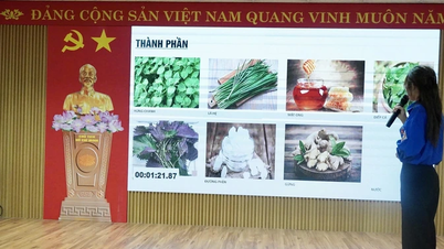 Thắp sáng ước mơ khởi nghiệp