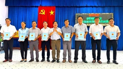 Thành lập Trung tâm Dịch vụ tổng hợp xã Cù Lao Giêng