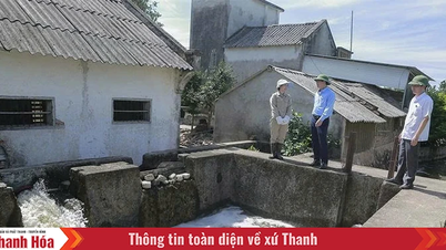 Chống hạn cho cây trồng