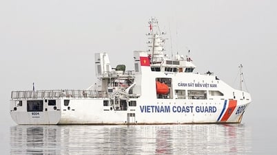 Tàu CSB 8004 tham gia diễu binh trên biển hiện đại như thế nào?