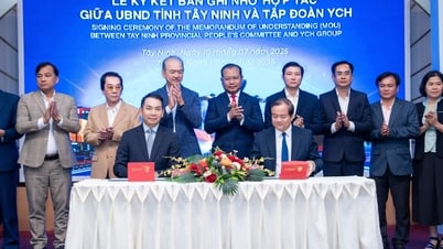 Tập đoàn YCH và UBND tỉnh Tây Ninh kỳ kết hợp tác chiến lược tăng cường hành lang thương mại xuyên biên giới