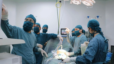 Chuyển giao kỹ thuật đặt catheter màng bụng điều trị suy thận mạn tính cho Bệnh viện Đa khoa Ninh Thuận