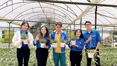 Trần Hồ Duy Bảo và khát vọng lập thân, lập nghiệp