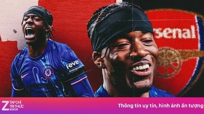 غضب جماهير أرسنال بعد ضم لاعب جديد مقابل 52 مليون جنيه إسترليني