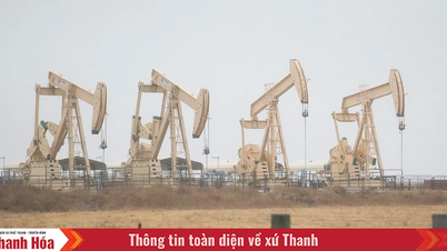 OPEC khẳng định dầu mỏ vẫn là trụ cột năng lượng toàn cầu đến 2050