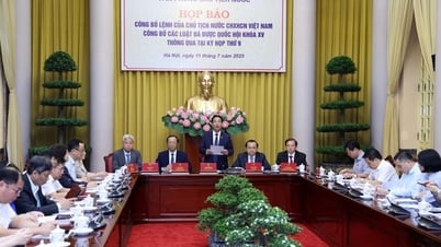 Công bố Lệnh của Chủ tịch nước về 9 luật vừa được thông qua