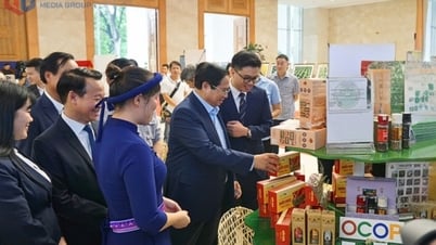 OCOP Quảng Ninh và chiến lược vươn tầm quốc tế