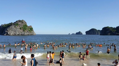 Nhấp link đặt phòng, đi tong kỳ nghỉ