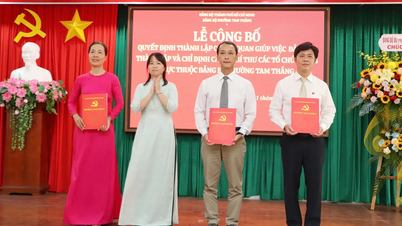 Phường Tam Thắng thành lập các cơ quan giúp việc Đảng ủy