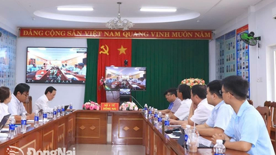 Tăng giám sát để phát hiện sớm và xử lý triệt để các ổ dịch sốt xuất huyết