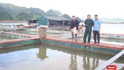 CCB xã Quỳnh Nhai thi đua làm kinh tế giỏi