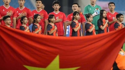 Đội tuyển Việt Nam tụt 4 bậc trên bảng xếp hạng thế giới