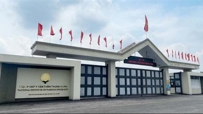 Bộ trưởng Bộ Y tế chỉ đạo ngăn chặn, không tiếp tay cho kẻ xấu lợi dụng “chạy” bệnh án tâm thần