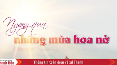 [E-Magazine]: Ngang qua những mùa hoa nở