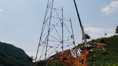 Лаокай единогласно преодолевает трудности и ускоряет реализацию проекта линии электропередачи 500 кВ