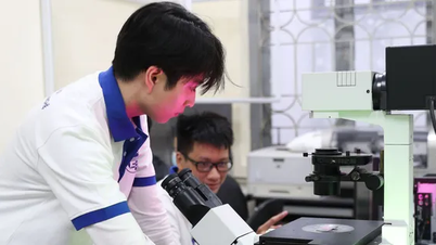 Quy định mới nhất của Chính phủ về đại học quốc gia