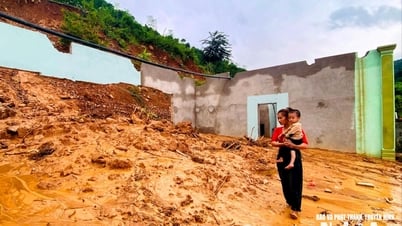 Khẩn trương kiện toàn ban chỉ huy phòng, chống thiên tai tại các phường, xã mới