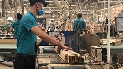 Sự thật vụ một doanh nghiệp gỗ đặt mục tiêu doanh thu gần 1 triệu tỉ đồng