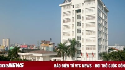 Đại học Quốc gia Hà Nội và TP.HCM trực thuộc Bộ GD&ĐT từ 1/9