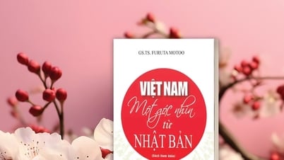 Việt Nam - Một góc nhìn từ Nhật Bản