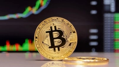 Nhà đầu tư dùng hết tài sản để mua Bitcoin cách đây 14 năm giờ ra sao?