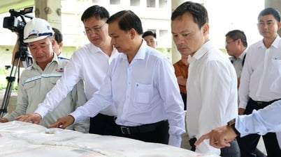 Chủ tịch UBND TP. Cần Thơ kiểm tra dự án nghìn tỷ bỏ hoang