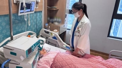 Nội soi ngược dòng ERCP cứu sống bệnh nhân có sỏi 0,5cm tắc ống mật chủ