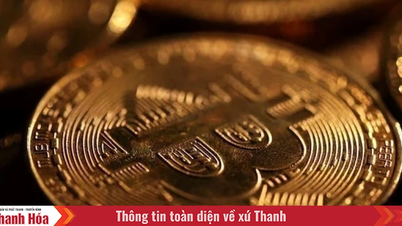 Bitcoin tiếp tục đà tăng tốc, phá vỡ mốc 113.000 USD