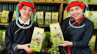 OCOP thích ứng sau hợp nhất tỉnh, thành