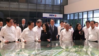 TP.HCM triển khai chính quyền địa phương 2 cấp đến doanh nghiệp