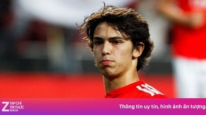 Felix tìm ra bến đỗ mới