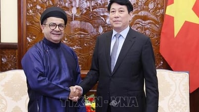 Chủ tịch nước Lương Cường tiếp Đại sứ Chile đến chào từ biệt