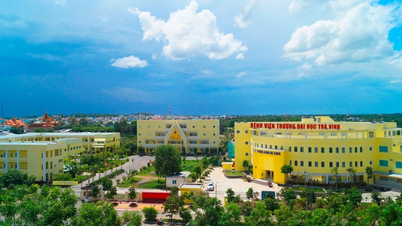 Trường ĐH Trà Vinh tiếp tục thăng hạng 29 trong Top 400 của WURI Ranking 2025