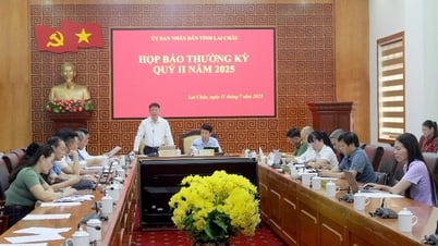 Họp báo cung cấp thông tin định kỳ cho báo chí quý II