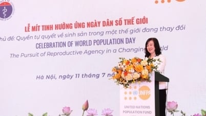 Việt Nam thúc đẩy quyền sinh con và thích ứng dân số già