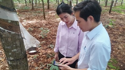 Chàng trai dân tộc Nùng tiên phong thực hiện số hóa, kiến tạo tương lai