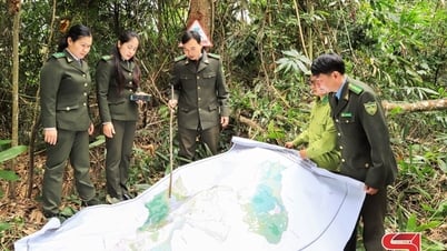 Giữ rừng vì cuộc sống cộng đồng