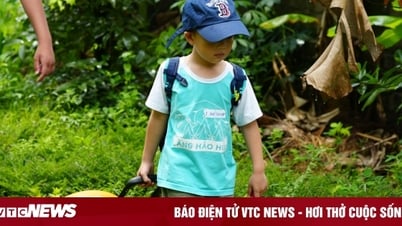 Sau vụ trại hè Làng Háo Hức, nhiều phụ huynh giật mình từng 'giao trứng cho ác'