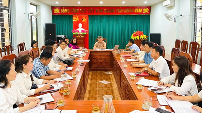 Ngày mới ở Nam Trạch