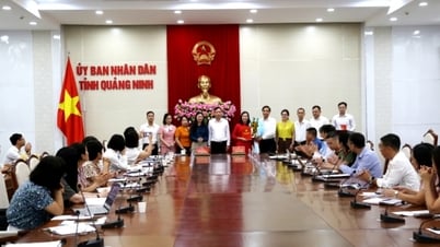 Đoàn công tác Cục Thống kê làm việc với tỉnh Quảng Ninh