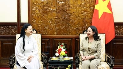 Phó Chủ tịch nước tiếp nữ phi hành gia gốc Việt đầu tiên bay vào không gian