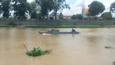 Nước lũ bắt đầu đổ về vùng Đồng Tháp Mười của tỉnh