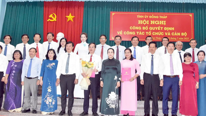 Đồng Tháp: Thành lập 4 Đảng bộ trực thuộc Tỉnh ủy sau sáp nhập