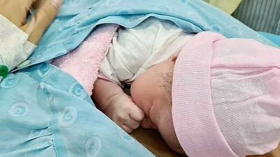 Dân số Việt Nam đối mặt giảm sinh, già hóa và mất cân bằng giới tính