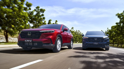 Doanh số xe máy và ô tô Honda tăng trưởng trong tháng 6/2025