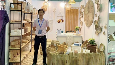 Chàng kỹ sư IT khoác áo mới cho lục bình, doanh thu triệu đô mỗi năm