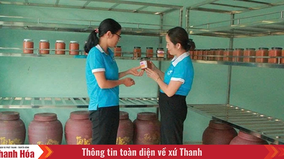 Mô hình sinh kế hỗ trợ phụ nữ thoát nghèo